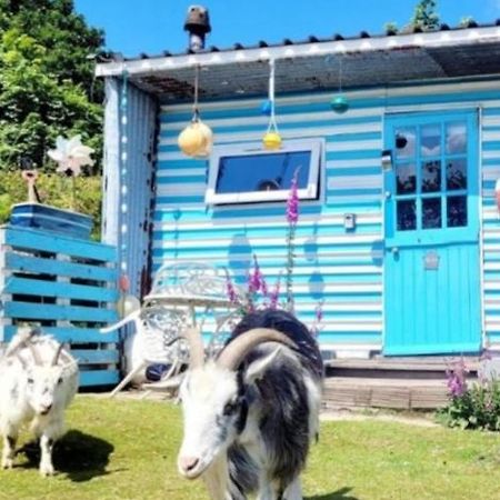 Treguth Glamping Unique Experience - Themed Huts Hotel Saint Day Ngoại thất bức ảnh