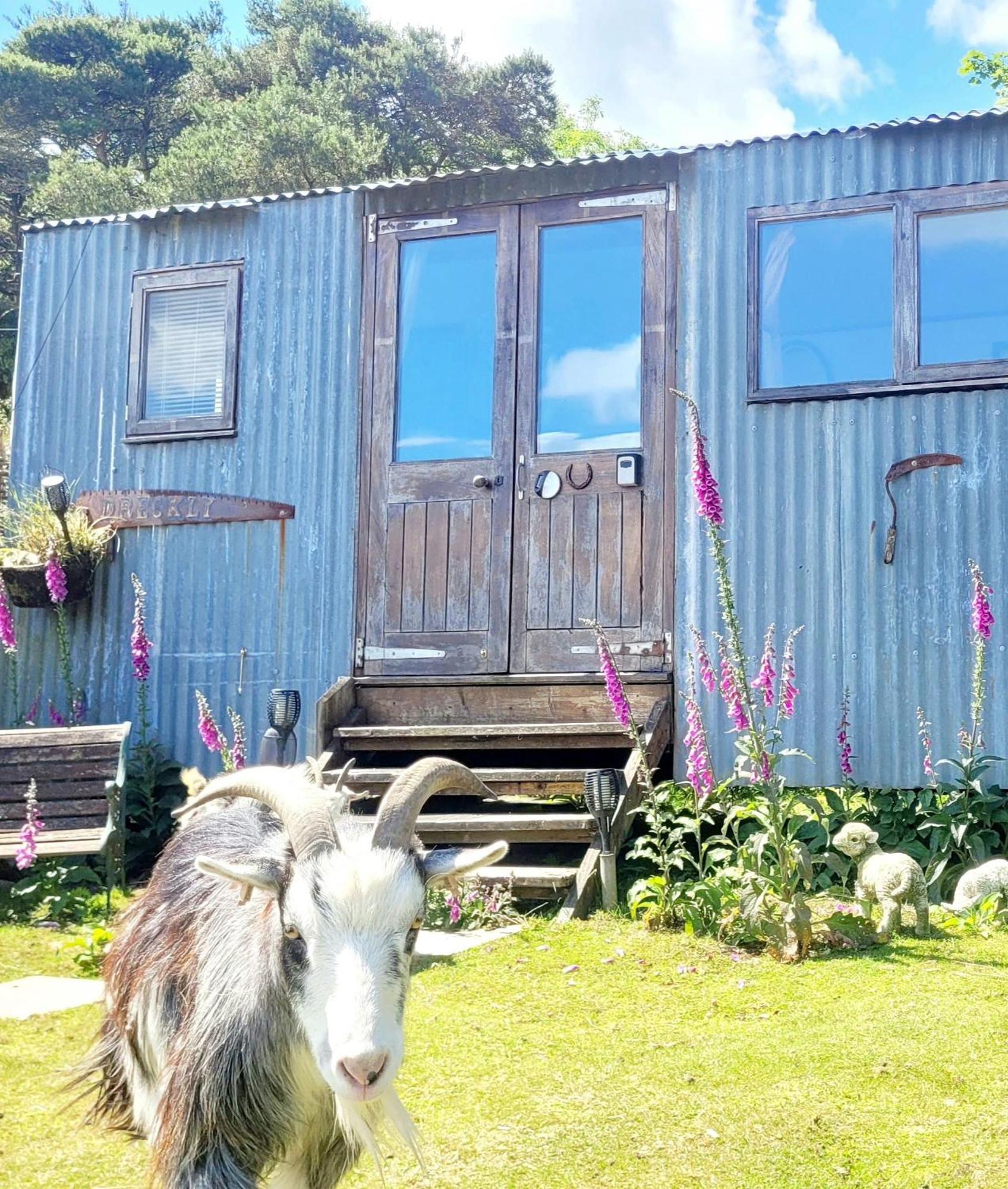 Treguth Glamping Unique Experience - Themed Huts Hotel Saint Day Ngoại thất bức ảnh