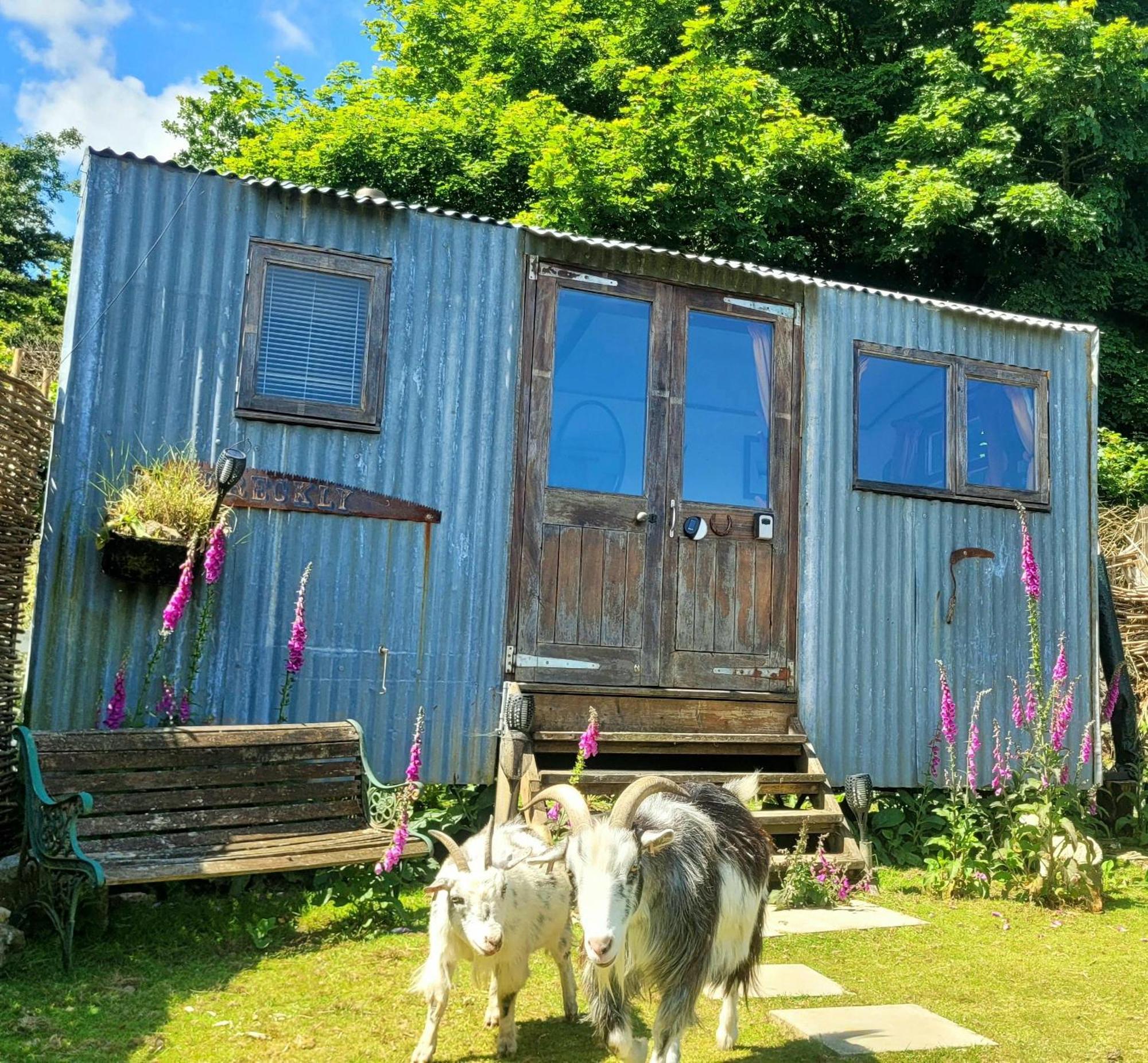 Treguth Glamping Unique Experience - Themed Huts Hotel Saint Day Ngoại thất bức ảnh